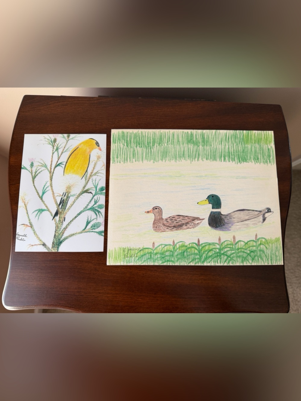 Hand-Colored Bird and Ducks Art Prints in Yellow, Green, Brown
